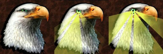 Золотая тасовка