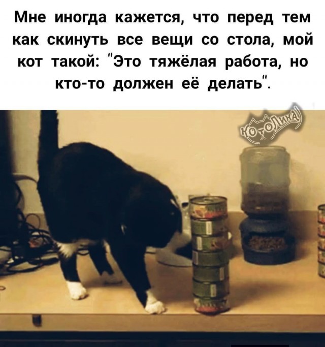 Картинки для деградации 183 (разной степени свежести)
