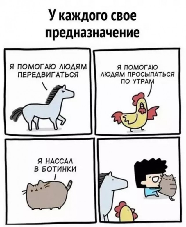 Картиночки, баянчики 22 апреля