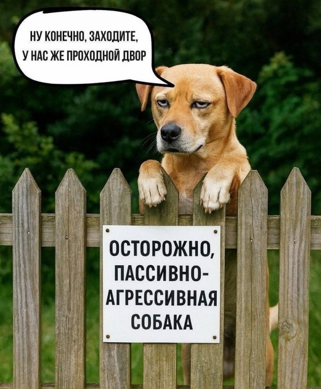 Так себе картинки 13.06.26