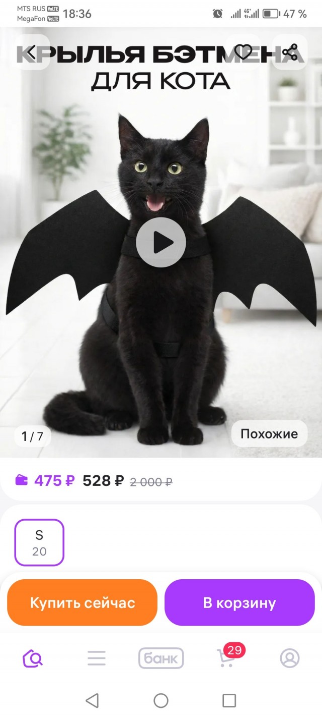 Кошки породы Ликой