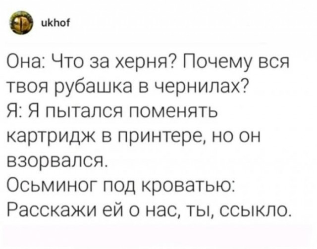 Картинки для деградации 251 (разной степени свежести)