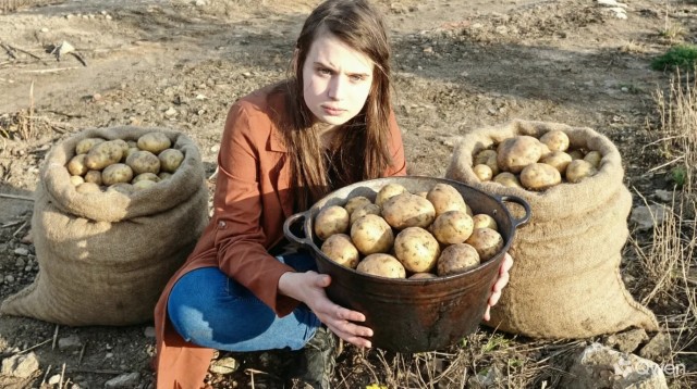 Дайте в руки мне баян...