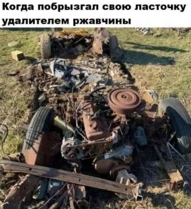 Картинки для деградации 303 (разной степени свежести)