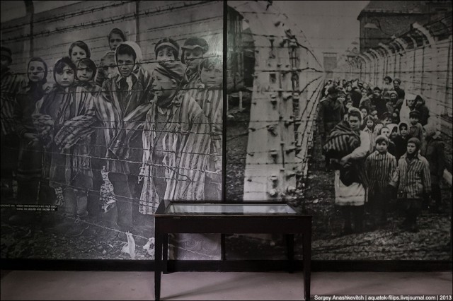 Аушвиц. Фабрика смерти 18+