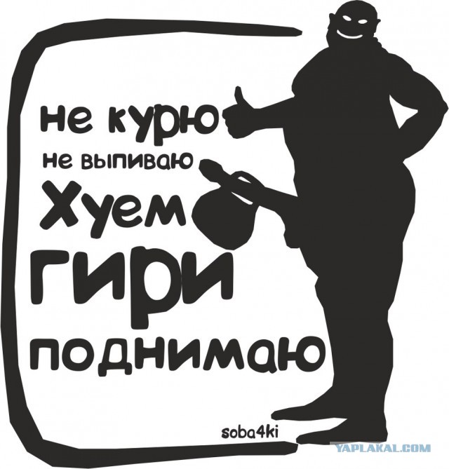 Новичок в спортзале