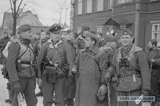 Несколько фотографий Великой Отечественной Войны
