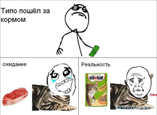 Ожидание - реальность