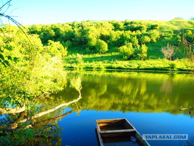 Рыбалка на Дону