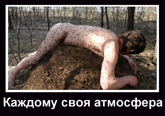 Атмосферные демотиваторы