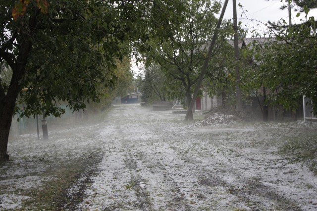 Дождь на 1-е Сентября стихия небольшая