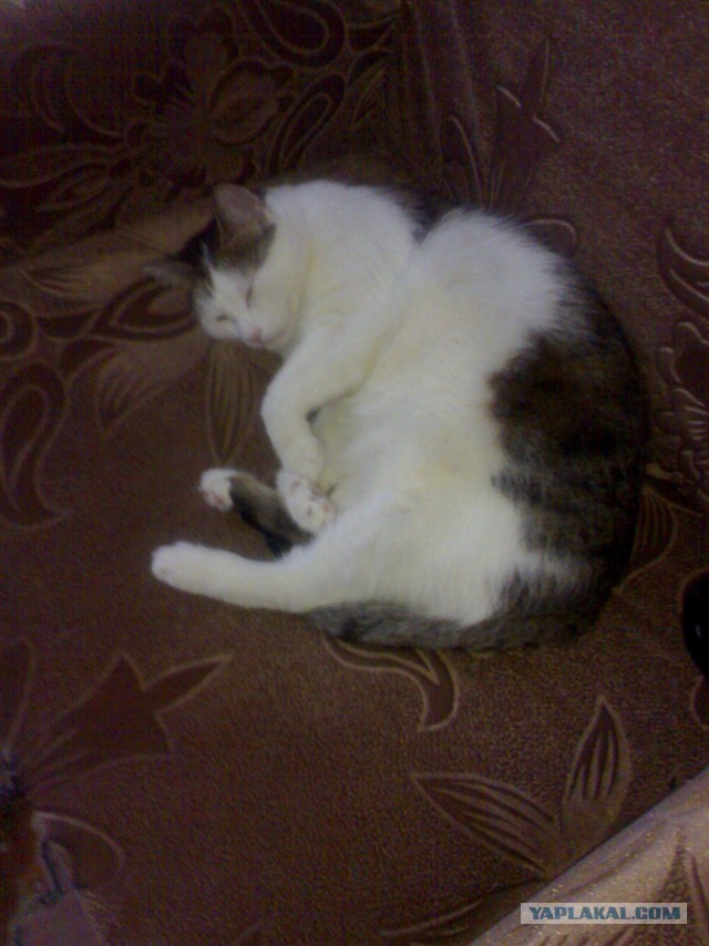 На улице заминусили