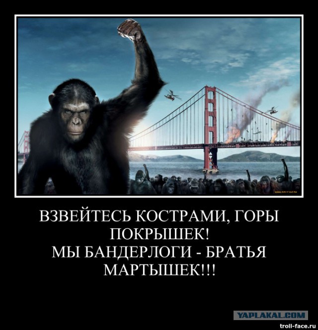 Болгария шото заподозрила