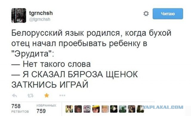 Картинки из сети для настроения