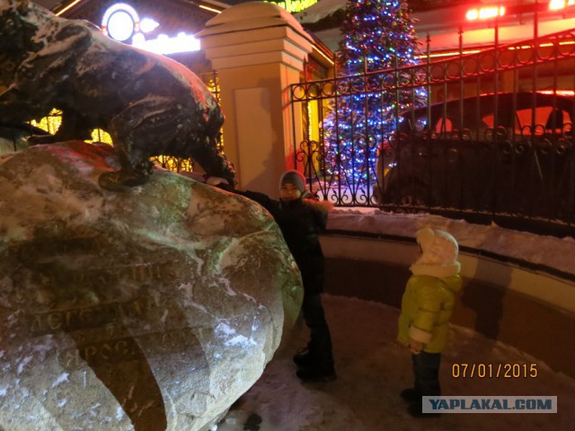 Дневник термоса или новогоднее путешествие
