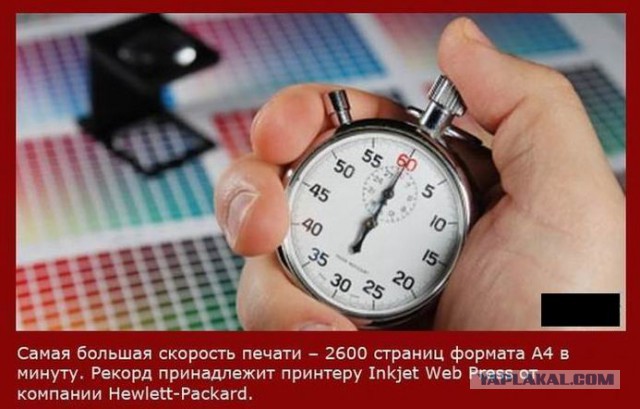 20 фактов обо всем