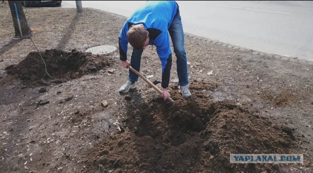 Мой метод борьбы с парковкой на газоне