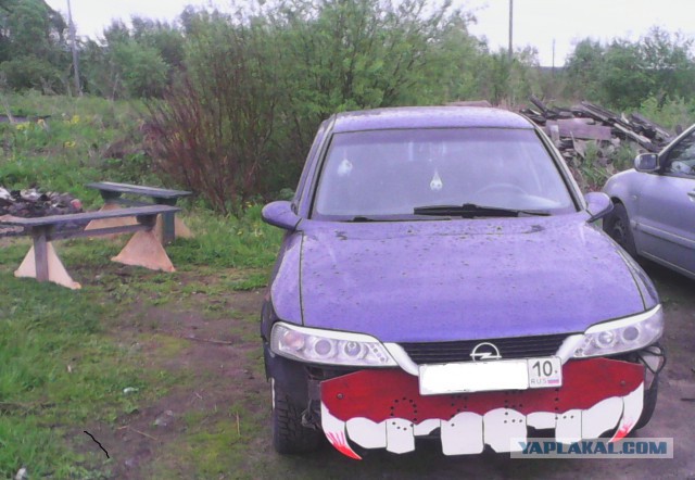 Мне довелось ЭТО увидеть в живую!