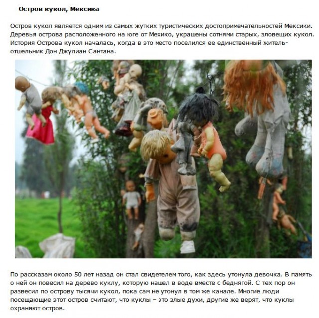 Топ-10 таинственных лесов