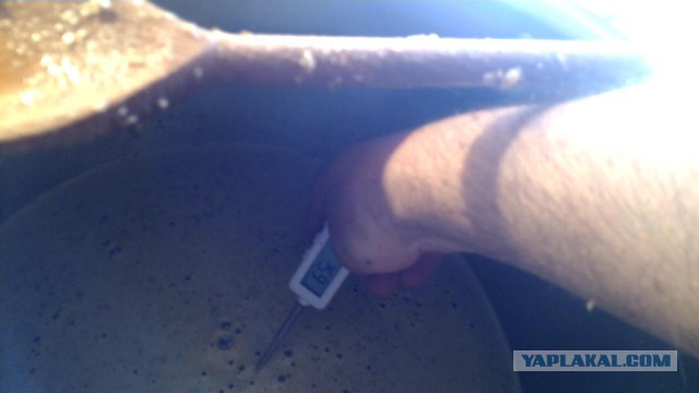 Карамелоьное домашнее пиво от "а " до " я"