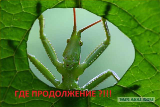 Северное седло Эвереста, 7076 метров
