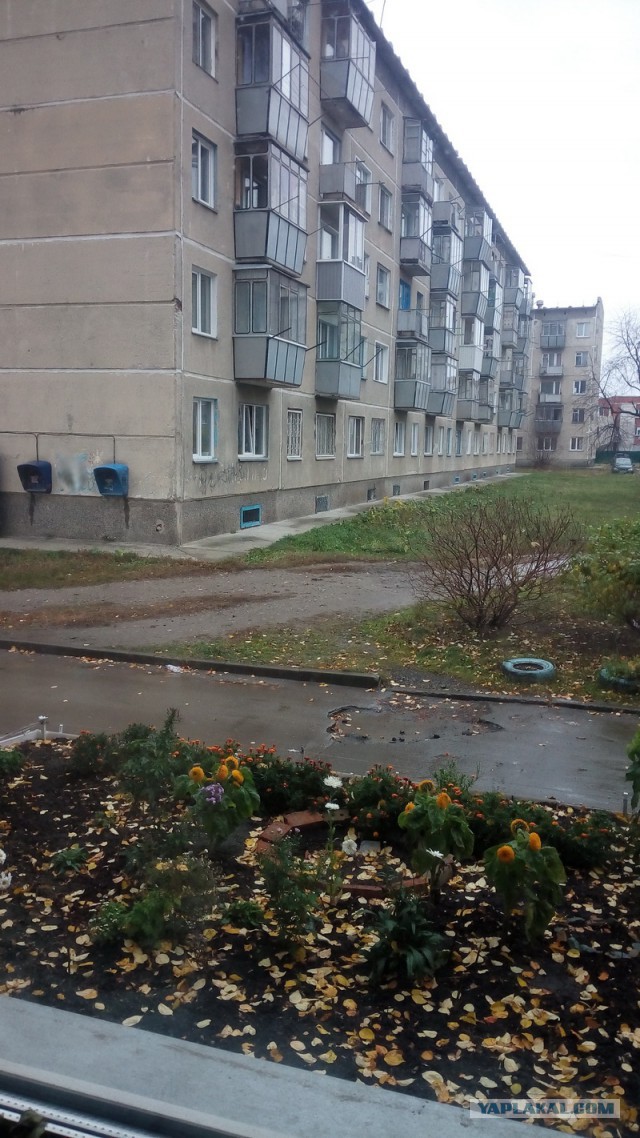 А что у вас за погода сейчас?