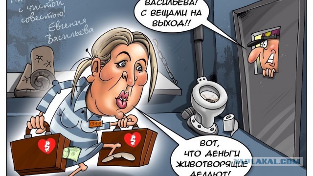 Генпрокуратура: Васильева освобождена законно