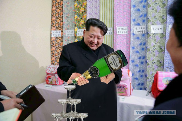 Фотожаба "Ким что там у тебя?"