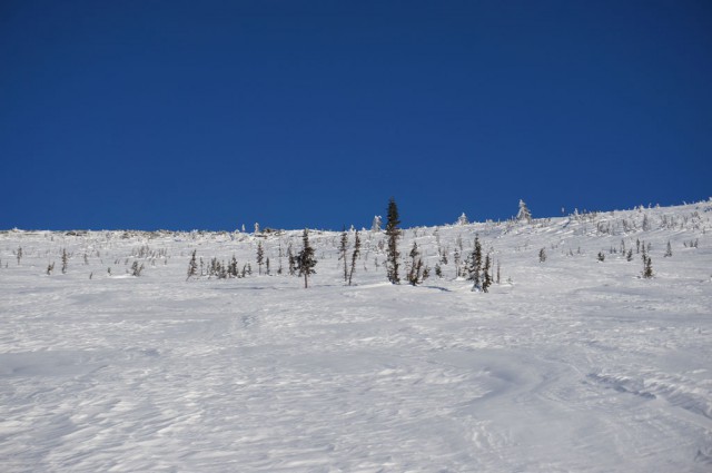 Откуда берутся такие фотографии