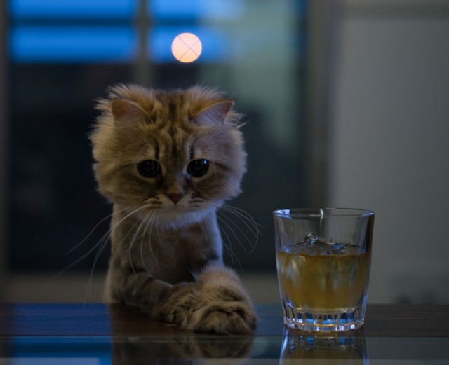 Подборка интересных и веселых фото