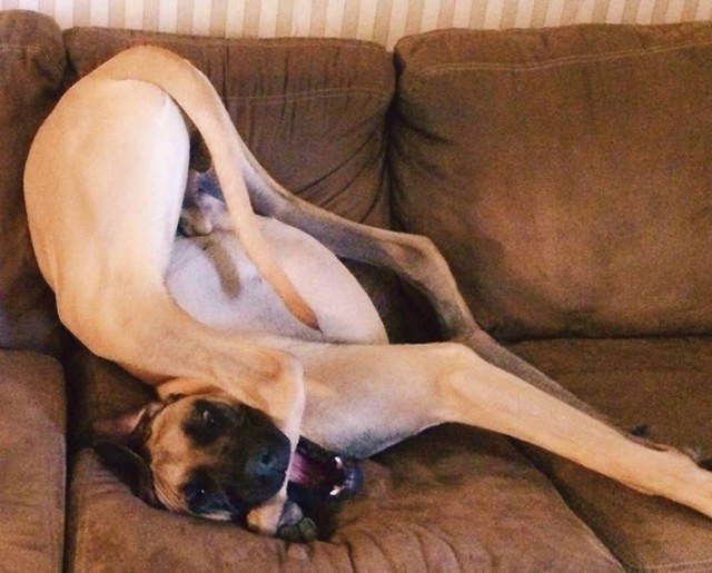 Всякий хлам