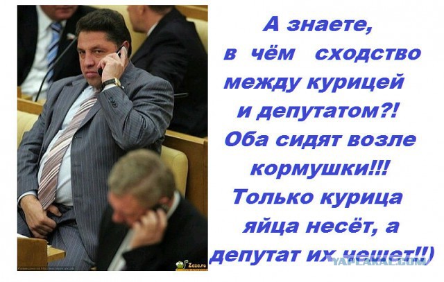 Все друг друга поняли (Смехопанорама)