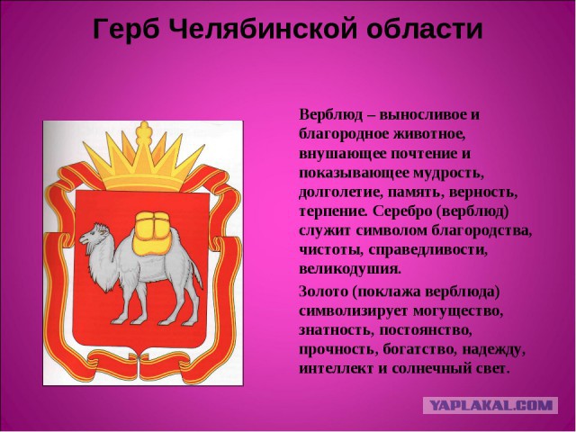 25 удивительных фактов о России