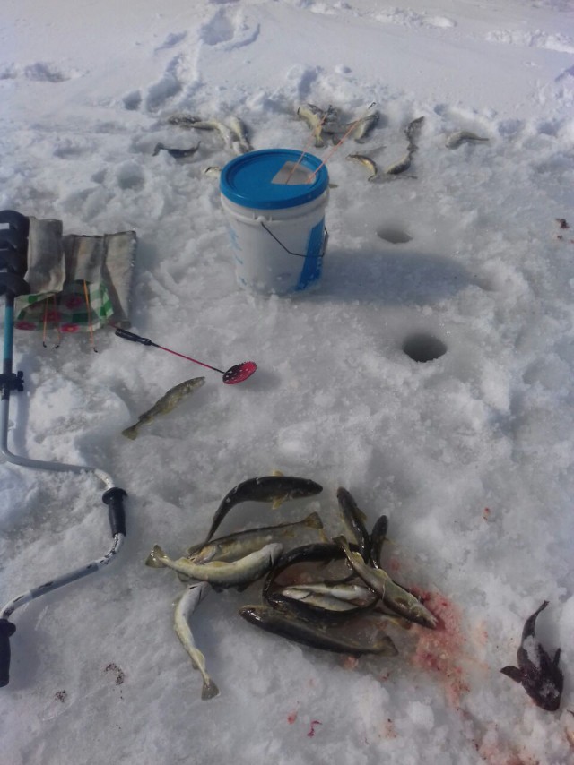 Зимняя рыбалка на Сахалине