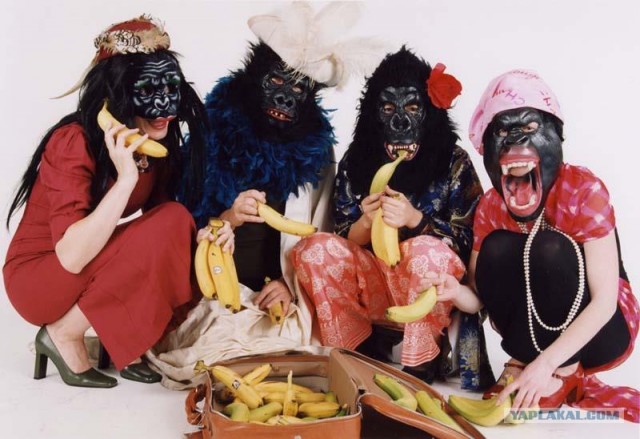 Почему я не хочу себе девушку?