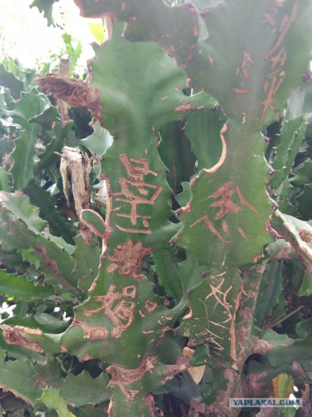 ХАЙНАНЬ. Записки путешественника. Часть первая.