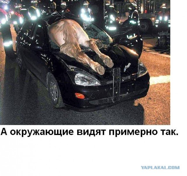 Как видит свою машину владелец и окружающие
