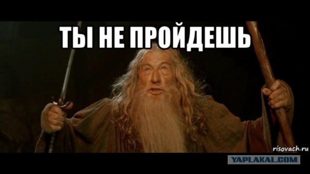 «Мост глупости» в Петербурге «поймал» 149-ю жертву и готовится к юбилею