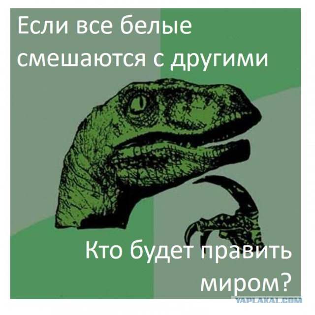Красивый коктейль кровей. Девушки-метиски