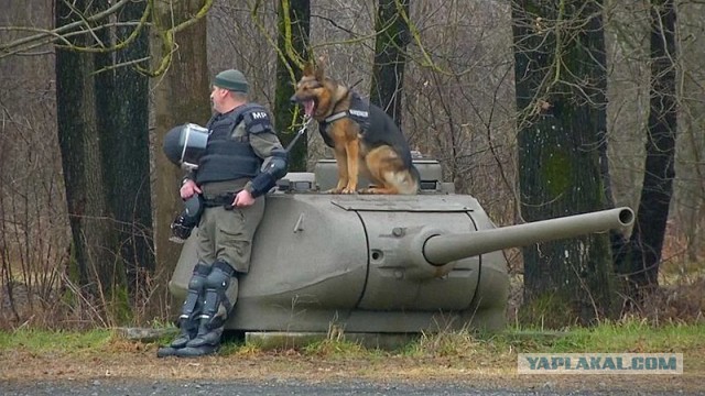 Главные недостатки немецкого танка «Пантера»