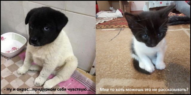 Подборка интересных и веселых картинок 01.05.19