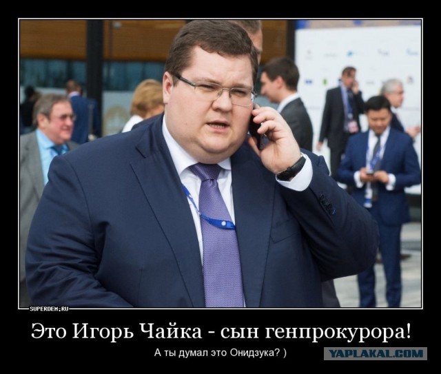 Дорогие борцы с режимом, старайтесь больше времени уделять учебе и работе.