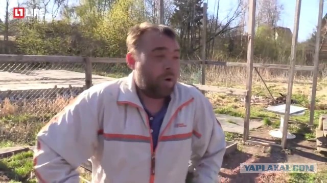 А вы будете отдыхать? [ОПРОС]