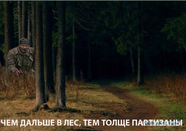 Пословицы