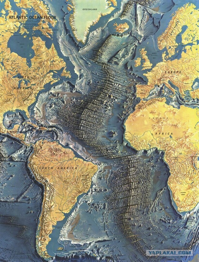 Как выглядит рельеф дна Мирового океана