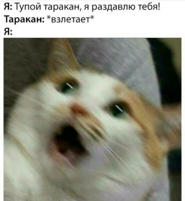 Весёлый полтишок 1.03