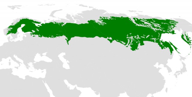 Почему нет ни одного моста через самую длинную реку в мире?