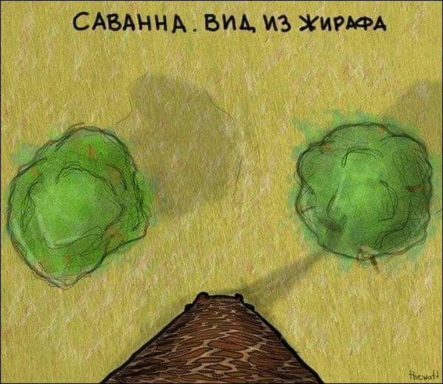 Картинки и мемы для настроения 005