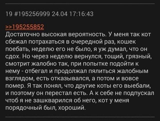 Кофе за 300