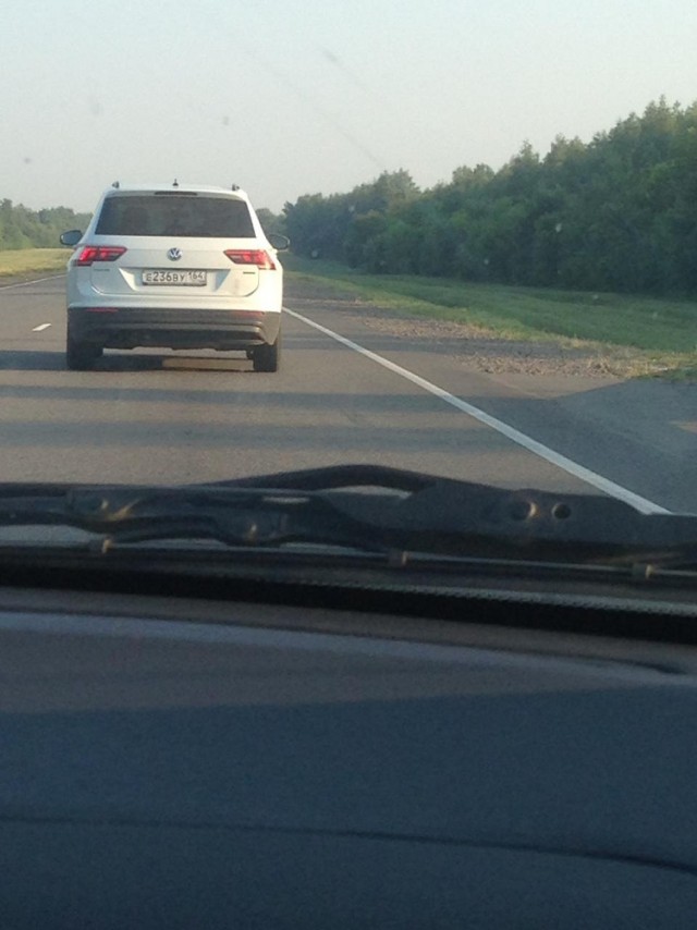 Гнида на опеле